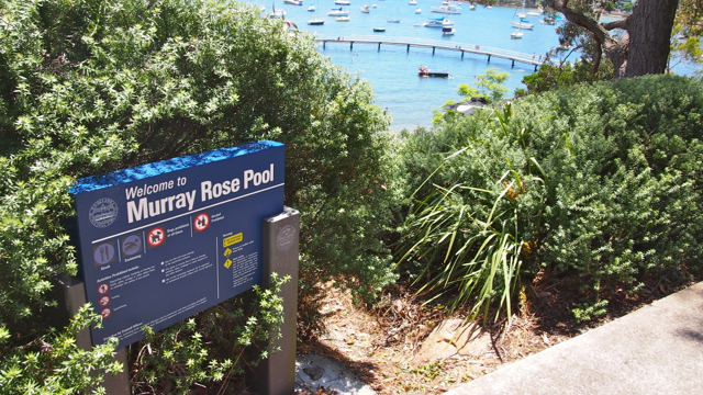 Murray Rose / Redleaf Pool Sydney