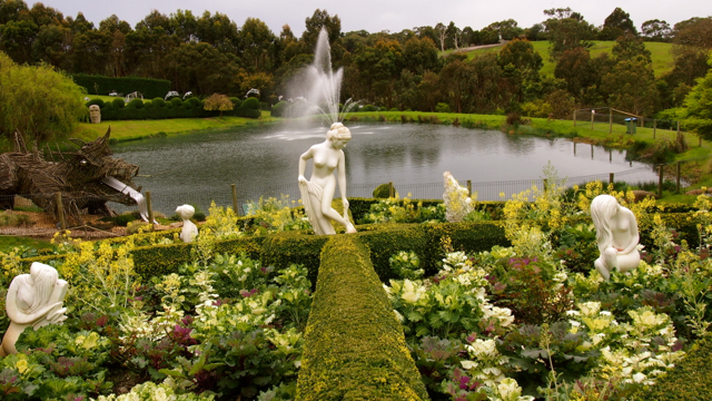 Enchanted Adventure Garden - Meetoo